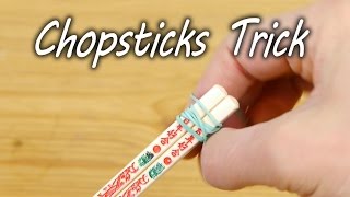 How to Use Chopsticks  Life Hack [upl. by Ita470]