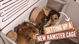 Setting Up A New Hamster Enclosure [upl. by Stringer]