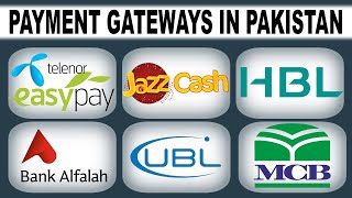 Payment Gateway for Website in Pakistan [upl. by Millford260]