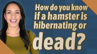 How do you know if a hamster is hibernating or dead [upl. by Sklar626]