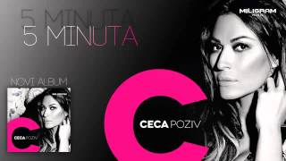 Ceca  5 minuta  2013 HD [upl. by Eelyrag808]