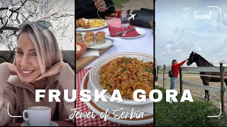 Travel vlog 6  Fruska Gora  A Jewel of Serbia  Luxury Spa amp Culinary Adventure Serbia [upl. by Sheridan326]