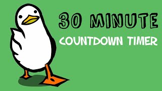 30 minute countdown timer  walking duck [upl. by Akinahs969]