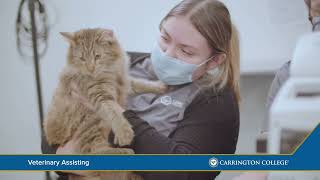 Carrington College Veterinary Assisting Program Overview [upl. by Maise]