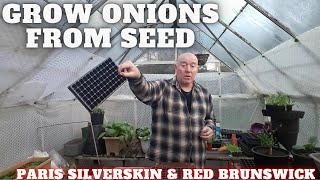 Grow Onions From Seed Gardening Allotment UK Grow Vegetables At Home [upl. by Nova]