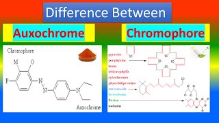 Difference between Auxochrome and Chromophore [upl. by Ayotac]