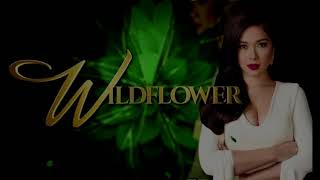 Wildflower OST Lyrics by Martin Nievera [upl. by Matronna]