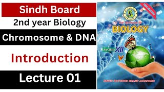 chromosome and DNA  introduction to chromosomal theory of inheritance  class 12 biology Sindh [upl. by Red]