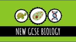 Animal and Plant Cells  Structures Functions and Differences  91 GCSE Biology [upl. by Archangel]