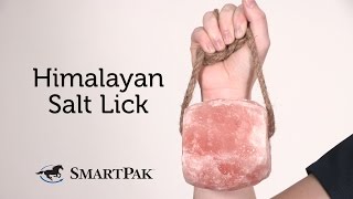 Himalayan Salt Lick Review [upl. by Yarak539]