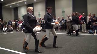 Stick Horse Dressage HIGHLIGHTS [upl. by Bonnibelle]