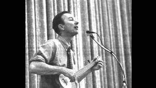 Pete Seeger  Goodnight Irene [upl. by Halimak582]