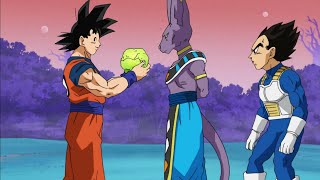 Goku presents fresh lettuce to lord beerus [upl. by Tteragram59]