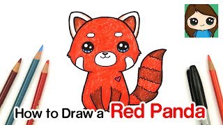 How to Draw a Red Panda [upl. by Irim]