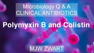 Microbiology QampA CLINICAL ANTIBIOTICS Polymyxin B and Colistin [upl. by Tnomad661]