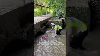 Drowning prevention drill reallife demonstration of quotDont panicquot [upl. by Nnylsor110]