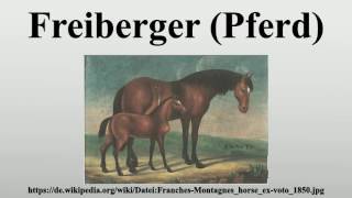 Freiberger Pferd [upl. by Leschen]