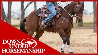 Clinton Anderson How to Get Your Horse to Go Forward  Downunder Horsemanship [upl. by Nehtanoj]