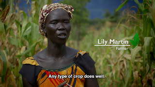 From the Ground Up Rebuilding Agricultural Systems in South Sudan [upl. by Cerracchio]