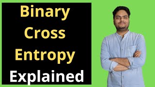 Binary Cross Entropy Explained  What is Binary Cross Entropy  Log loss function explained [upl. by Adnala157]