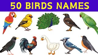 Birds Name  50 Birds Names In English For Kids  Learn Bird Names With Pictures And Pronunciation [upl. by Firestone]