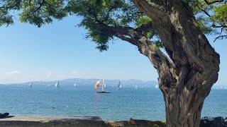 Der BodenseeRadweg Alle Infos zum Radweg und zu den Attraktionen am Bodensee [upl. by Dorin]