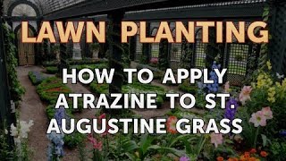 How to Apply Atrazine to St Augustine Grass [upl. by Arrotal]