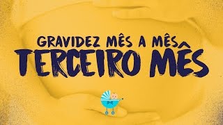 3 meses de gravidez Sintomas e tamanho da barriga [upl. by Arerrac]