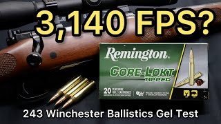 SPEED DEMON 243 Winchester Remington CoreLokt Tipped 95gr Ammo Test [upl. by Ibba]