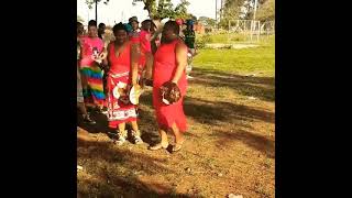 Swati Lobola Ceremony [upl. by Eerat776]