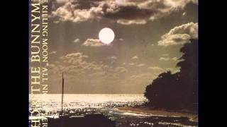 Echo amp the Bunnymen  The Killing Moon 1984 HD [upl. by Scarrow430]