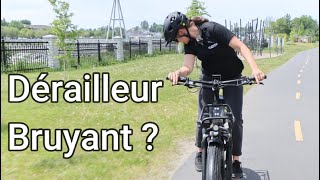 Ajuster Un Dérailleur Arrière Sur Un Vélo [upl. by Vigen]