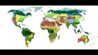 Tabiat zonalari [upl. by Neelhtak]