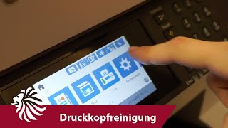 Epson WF Druckkopfreinigung  Tutorial 8  HAIN [upl. by Annoyed675]