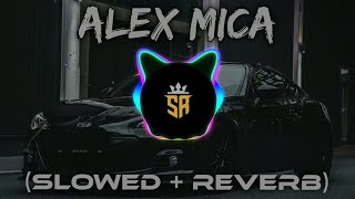 Alex Mica  Dalinda Lofi Music🎧  Slowed  Reverb Song [upl. by Nnaes]