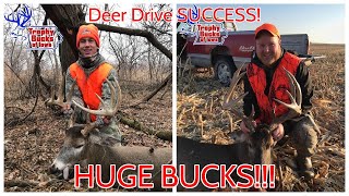 Iowa DEER DRIVES 2020  HUGE BUCKS DOWN [upl. by Milo398]