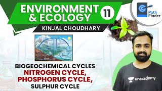 L11 Biogeochemical Nitrogen Phosphorous amp Sulphur Cycle  UPSC CSEIAS 2021  Kinjal Choudhary [upl. by Osi]