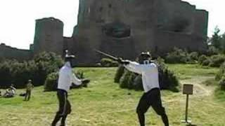 Longsword some techniques III [upl. by Oicnedurp]