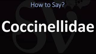 How to Pronounce Coccinellidae CORRECTLY [upl. by Leopoldeen]