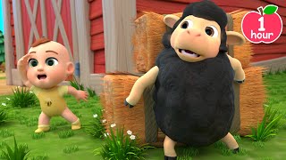 Baa Baa Black Sheep Song More Lalafun Nursery Rhymes amp Kids Songs [upl. by Eno909]