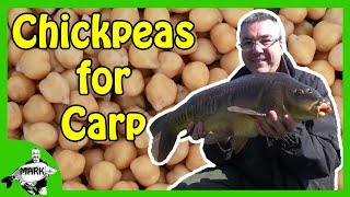 Preparing Chickpeas for Carp Fishing [upl. by Niassuh976]