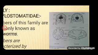 Medical Parasitology Lecture 5 part1 Nematoda [upl. by Ociram]