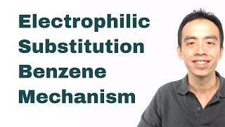 Electrophilic Substitution Benzene Mechanism  Organic Chem [upl. by Enovahs661]