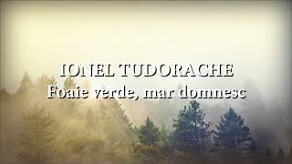 Ionel Tudorache  Foaie verde mar domnesc versuri lyrics karaoke [upl. by Veda]