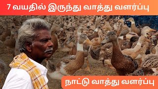 Vathu Valarpu  நாட்டு வாத்து வளர்ப்பு [upl. by Atineg]