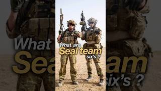 What Are Seal Team Six’s Squadrons [upl. by Stralka]