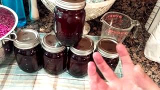 Beautyberry jelly recipe [upl. by Isherwood371]