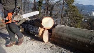 Test  Husqvarna 550xp vs 562xp vs Stihl 661 [upl. by Deming]