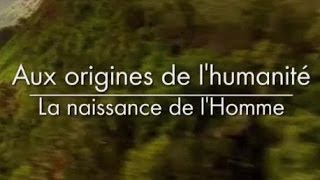 Aux origines de lhumanité  La naissance de lhomme 23 [upl. by Darlleen]