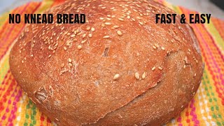 No Knead Whole Wheat Bread  Artisan Bread [upl. by Rosemarie]